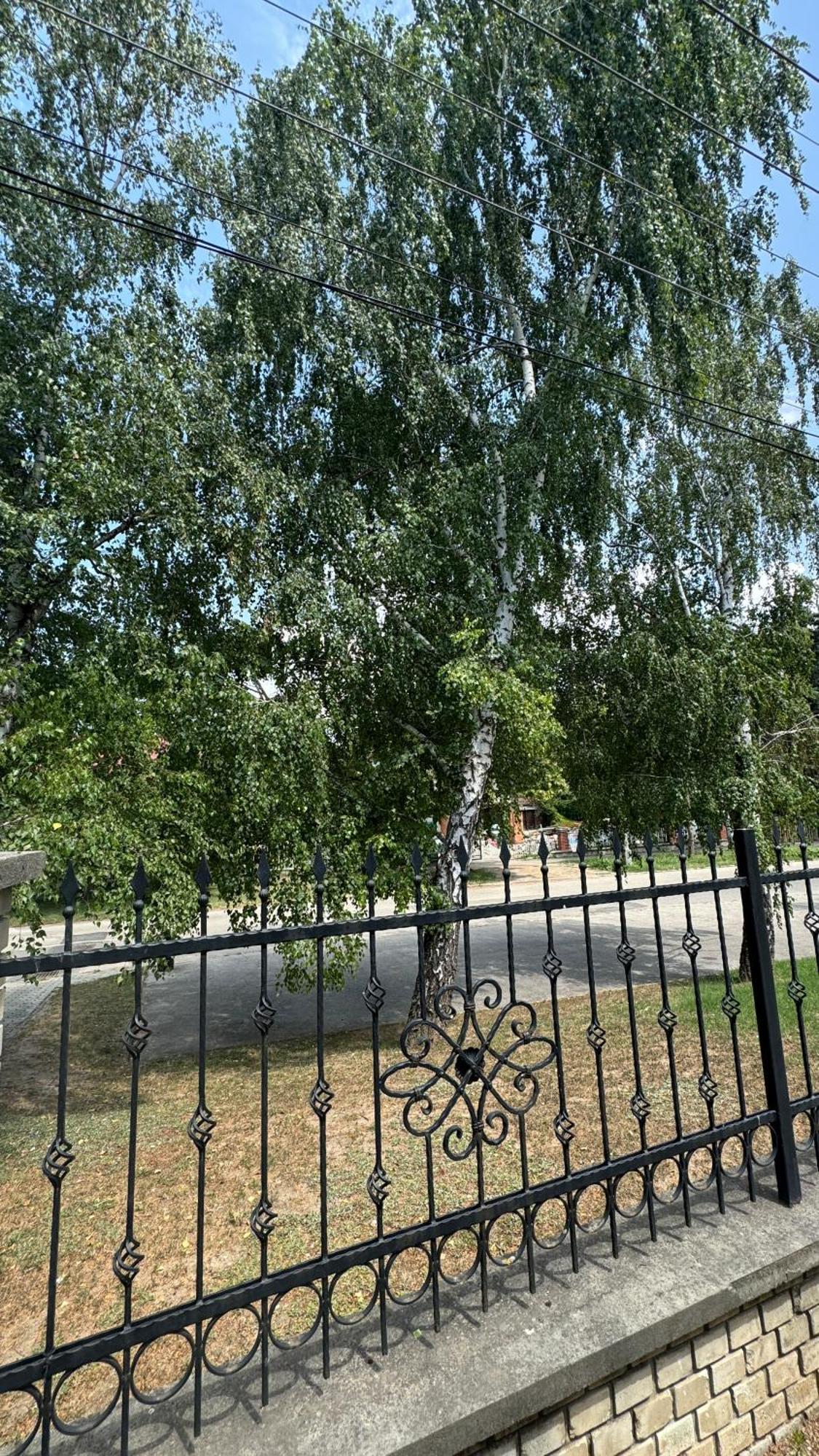 5 Haloszobas Wellness Vip House - Privat Medence Siófok Buitenkant foto